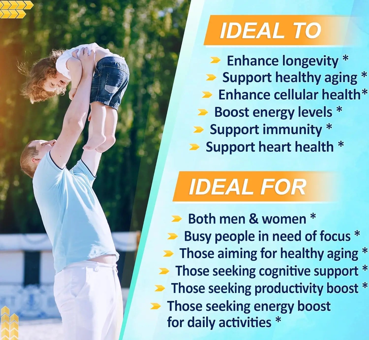 Resveratrol Capsules - Antioxidant Supplement Product vendor